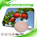 Factory Sales 100% Natural Cherry Extract Acerola Extract